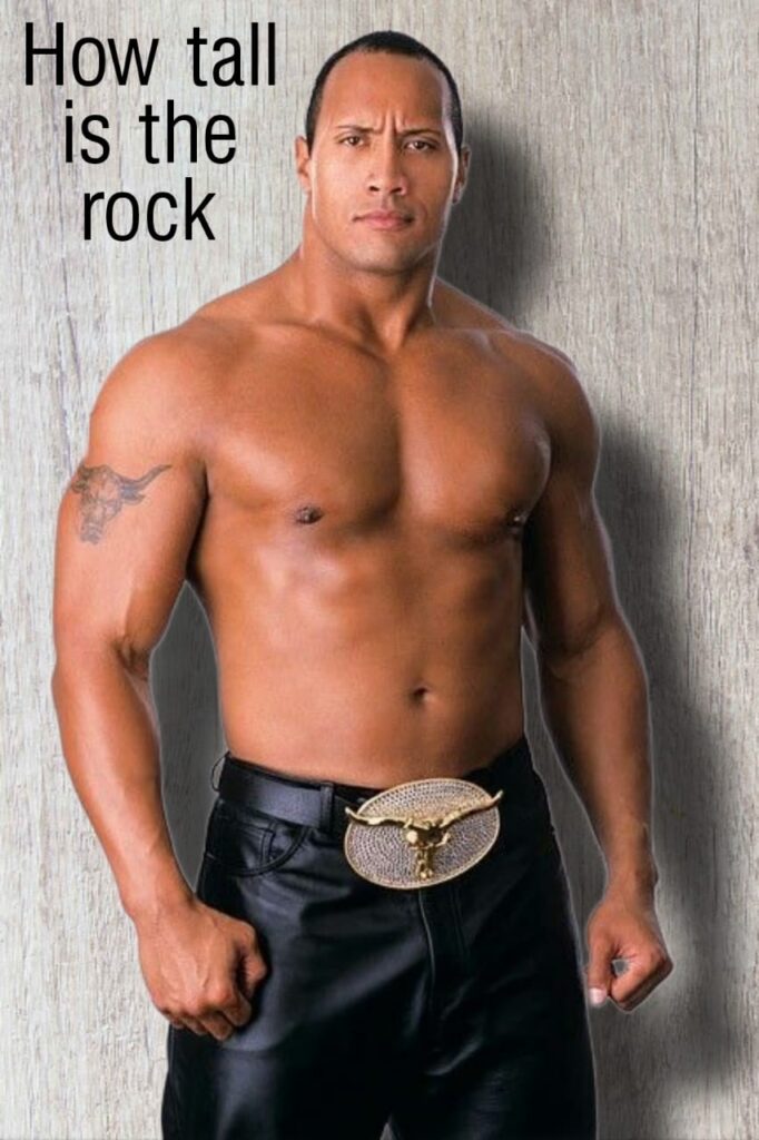 how tall is the rock
